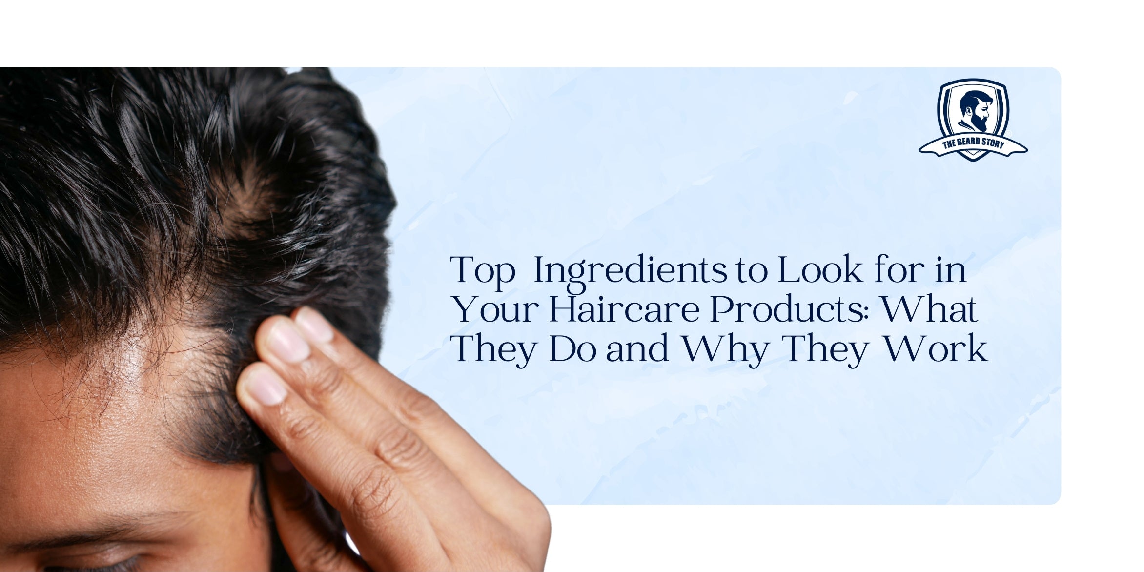 Top  Ingredients to Look for in Your Haircare Products: What They Do and Why They Work